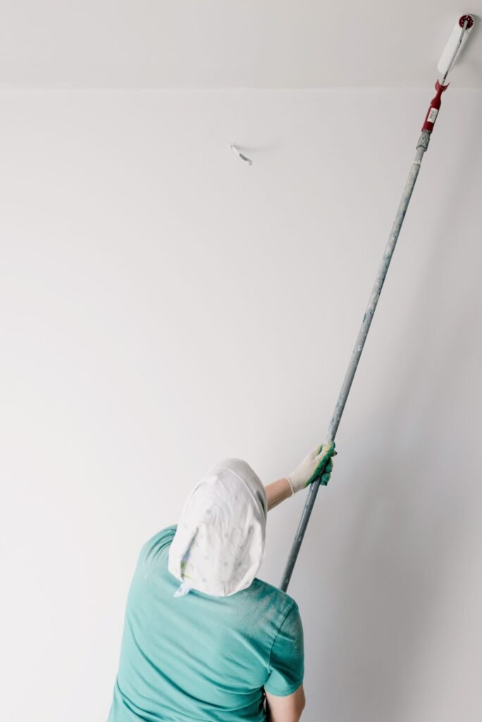 pintor casa residencial comercial rodillo pared